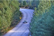 bov25_05_mrol9694