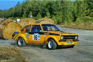 bov25_16_mrol8524