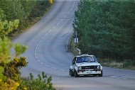 bov25_17_mrol9774