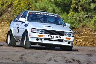 bov25_19_BRYS7608