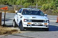 bov25_19_acdB6A3