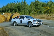 bov25_19_mrol8550