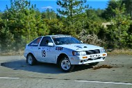 bov25_19_mrol8556