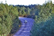bov25_21_mrol9787