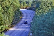 bov25_23_mrol9794