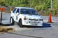 bov25_24_acdD3CA
