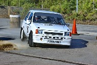 bov25_24_acdD458