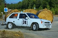 bov25_24_mrol8612