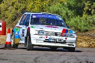 bov25_35_BRYS7602