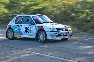 bov25_35_brys6635