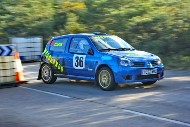 bov25_36_brys6637