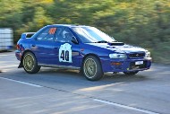 bov25_40_brys6641
