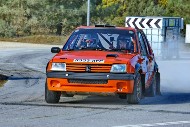 bov25_41_BRYS7346