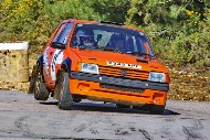 bov25_41_BRYS7614
