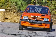 bov25_41_BRYS7616