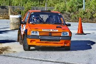 bov25_41_acd209E