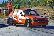bov25_41_brys7055