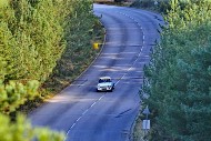 bov25_42_mrol9849