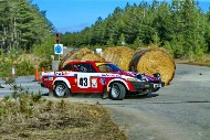 bov25_43_mrol8769