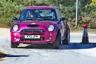 bov25_45_BRYS7442