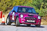 bov25_45_BRYS7717