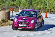 bov25_45_acd334C