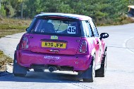 bov25_45_brys6241
