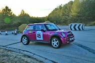 bov25_45_mrol0137