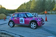 bov25_45_mrol0138