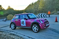 bov25_45_mrol0148