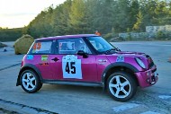 bov25_45_mrol0149