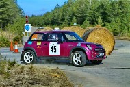 bov25_45_mrol8783