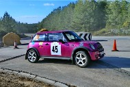 bov25_45_mrol9239