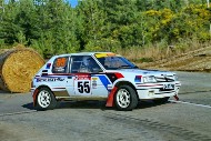 bov25_55_mrol8841