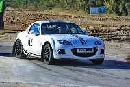 bov25_62_BRYS7157
