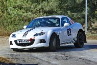 bov25_62_BRYS7427