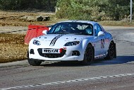 bov25_62_BRYS7429