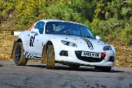 bov25_62_BRYS7698