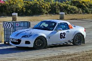 bov25_62_MROL0589