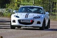 bov25_62_brys6292