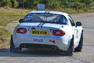 bov25_62_brys6293