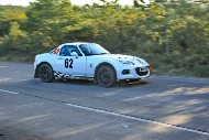 bov25_62_brys6688