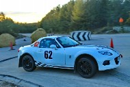 bov25_62_mrol0193