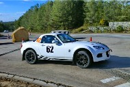 bov25_62_mrol9294