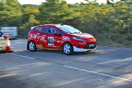 bov25_65_brys6694