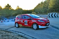 bov25_65_mrol0190
