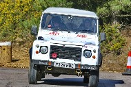 bov25_68_BRYS7751