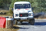 bov25_71_BRYS7458
