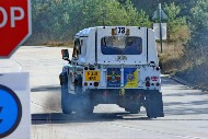 bov25_73_brys6346
