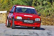 bov25_78_BRYS7714